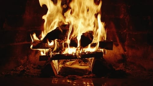 Fire Burns In The Fireplace