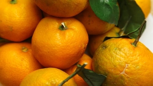Pile of Orange Tangerines with Green Leaves