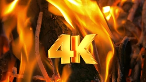 Burning Firewood with Fiery Flames in Close Up