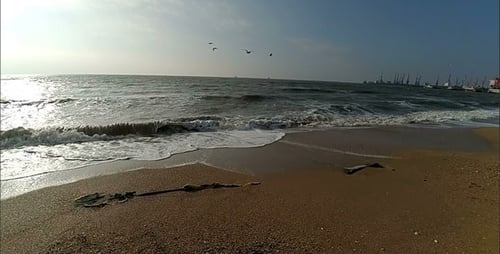 Meer 5