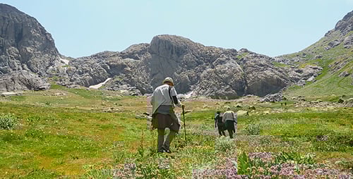 Hikers Explore Scenic Mountain Meadow Landscape