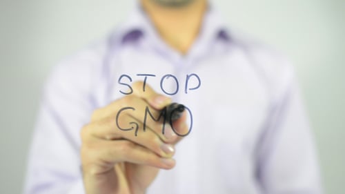 Man Writes "STOP GMO" on Transparent Surface