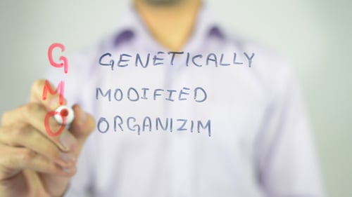 GMO, Illustration