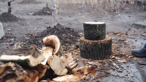 Wood Cutting with an Axe on Tree Stump