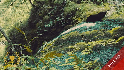 Magical Forest and River