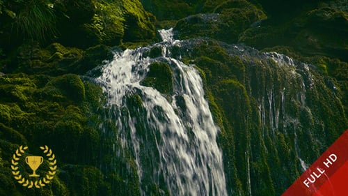 Waterfall in the Jungle