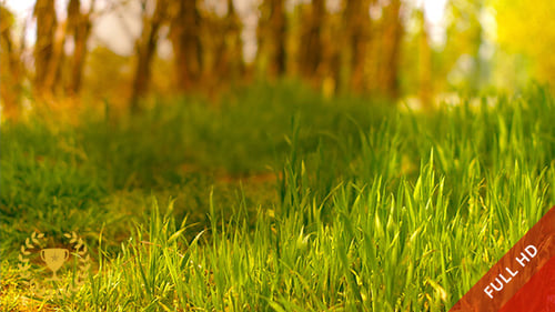 Grünes Gras bei leichtem Wind