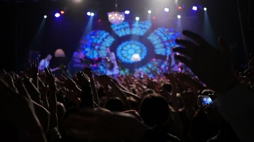 Excited Crowd Enjoying Concert Performance at Night