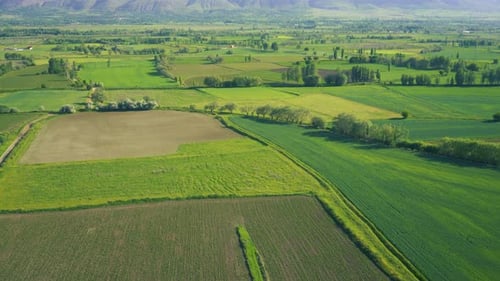 Aerial View of Green Farmland and Countryside