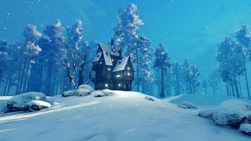 House In The Winter Forest