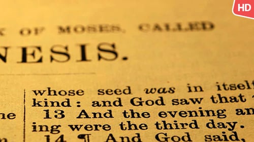 Old Holy Bible 128