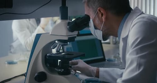 Scientist Studying Plant Sample in Microscope
