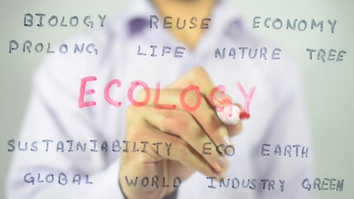 Man Writes Ecology on Clear Surface