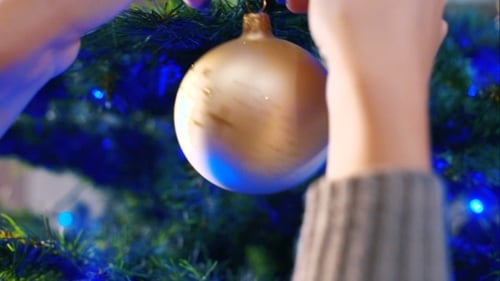 Decorating Christmas Tree with Golden Ornament at Home