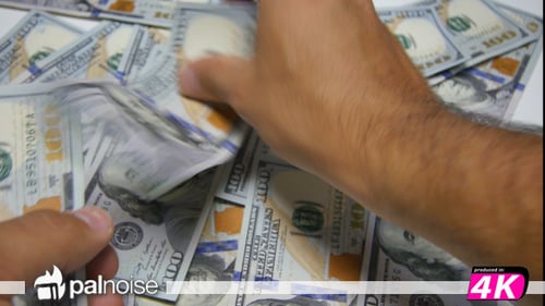 Dollar USD Cash