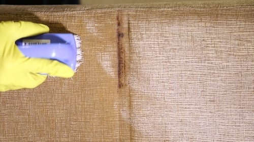 Hand Scrubber Cleans Couch Stain Close Up
