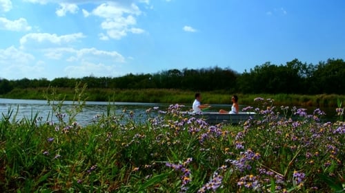 Couple Rowboat River, Surrounded By Flowers, Sunny Day