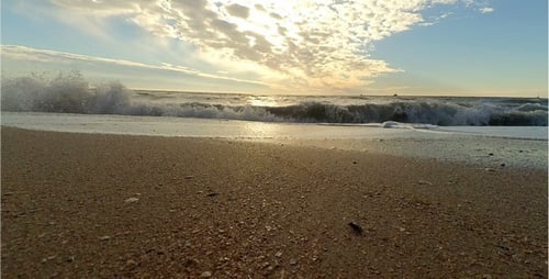 Wave