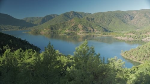 High Angle View To a Bay With Pine Trees