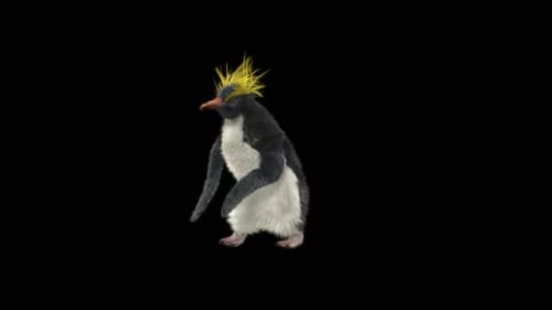 82 Penguin Dancing HD