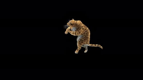 Leoparden-Tanzen 4K