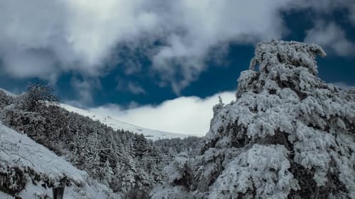 Winter Time Lapse
