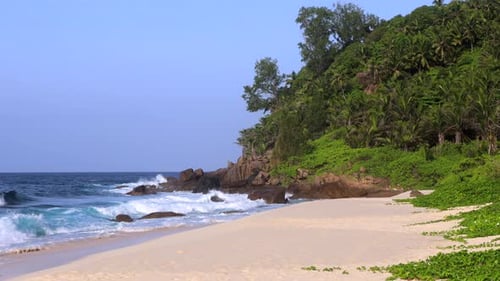 Wilder leerer Strand
