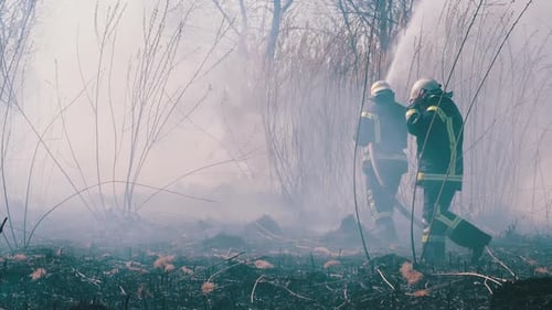 Two Firefighters in Equipment Extinguish Forest Fire with Fire Hose. Slow Motion