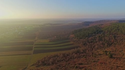 Vista aérea de la carretera que estaba cerca del bosque