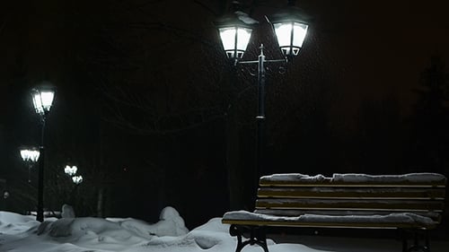 Snow Falls In Park 1