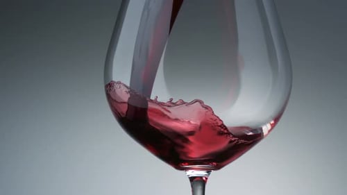 Pouring red wine into glass, Slow Motion