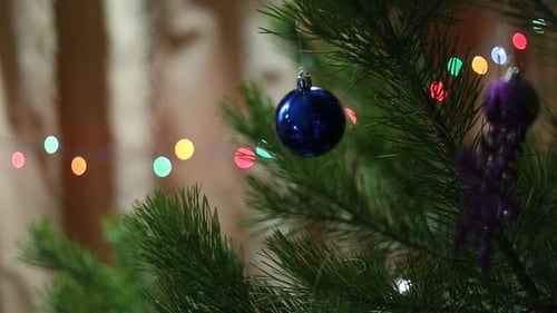 Decorating Christmas Tree with Blue Ornament
