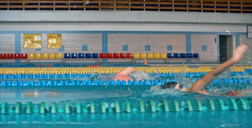Competencia de natación estilo libre