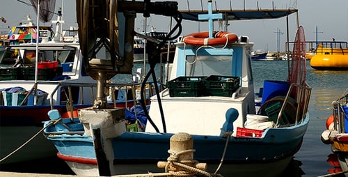 Fishing Boats In Harbour