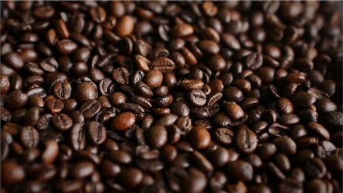 Coffee Beans are Loaded into the Espresso Machine for Grinding.