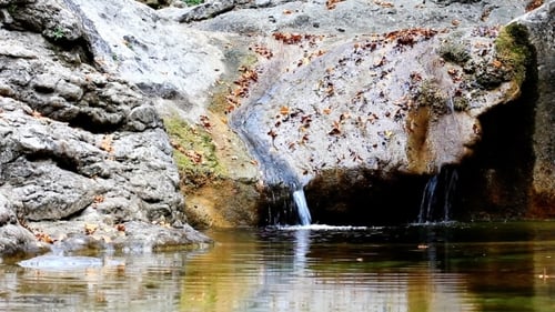 Small Waterfall Cascading into Tranquil Pond