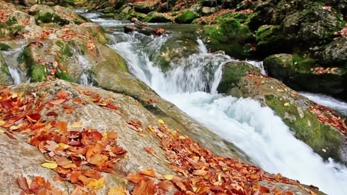 Scenic Stream Cascading Over Rocks in Autumn