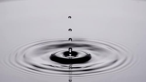 Water Drops Creating Ripples in a Close Up