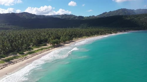 4k 24fps A Sunny Day In The Caribbean Beach With Palmstree And The Waves 3