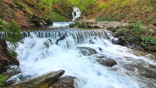 Scenic Waterfall Flowing in Lush Green Forest