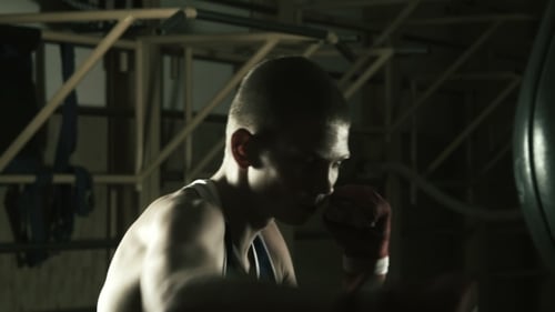 The Young Boxer Training In Gym With Punching Bag