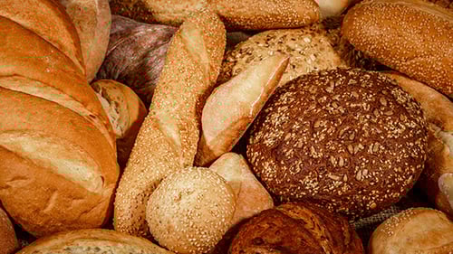 Close Up of Fresh Baked Bread Collection