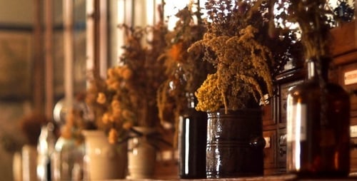 Dried Floral Arrangement in Soft Focus Indoor Light