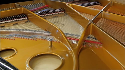 Inside a Yellow Grand Piano, Close Up