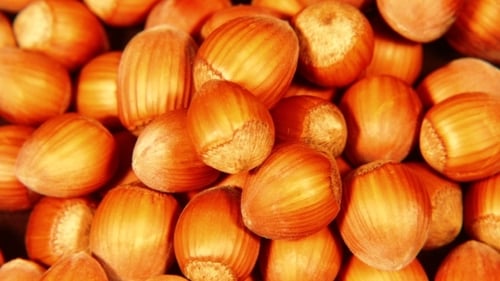 Pile of Brown Hazelnuts Food Ingredient