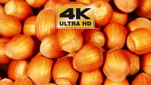 Close Up Footage of Fresh Delicious Hazelnuts