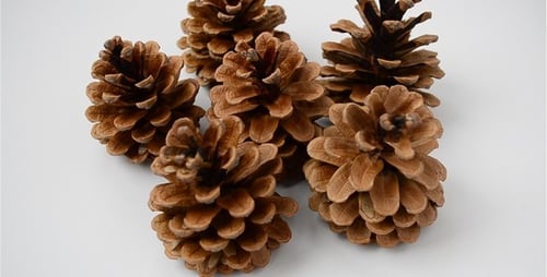 Cones 3
