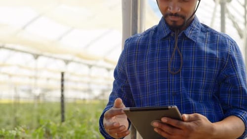 Man using digital tablet in blueberry farm 4k