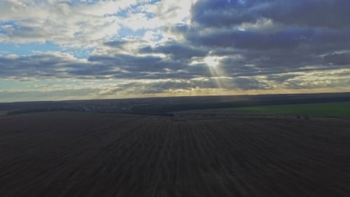 Aerial: Flight Over The Wheat Field In Sunset