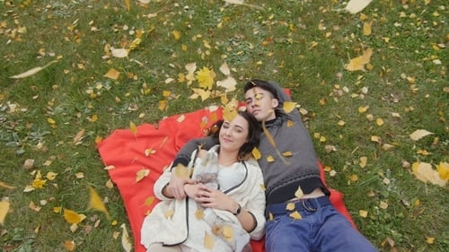 Young Couple Lying On Meadow